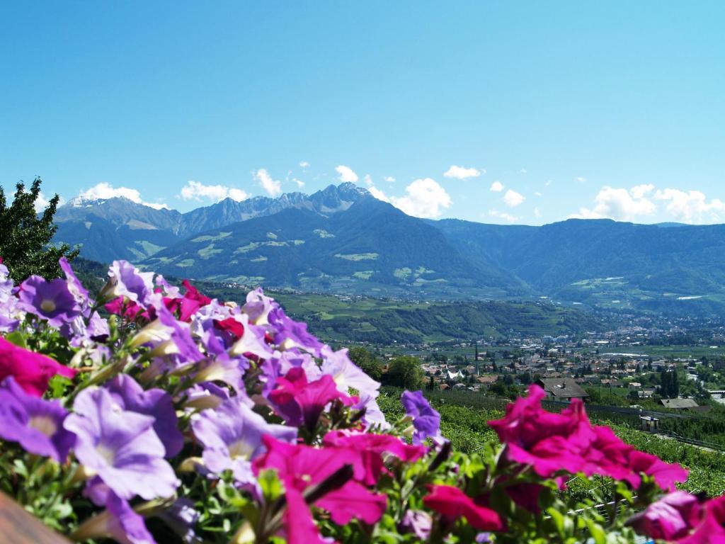 Pension Alpenblick Lagundo Extérieur photo